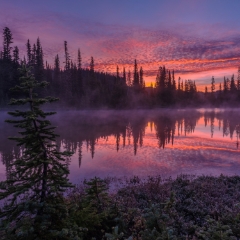 Mount Rainier Photography Reflection Lakes Sunrise Details.jpg