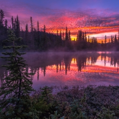 Mount Rainier Photography Reflection Lakes Sunrise Mist.jpg