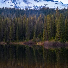 Mount Rainier Photography Treeline Reflection.jpg