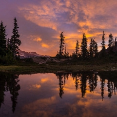 Rainier Wide Sunrise Reflection Pano.jpg The Reflection Lakes area of Mount Rainier National Park has abundant opportunities to capture clear reflections of the Mountain. Contact me for custom...