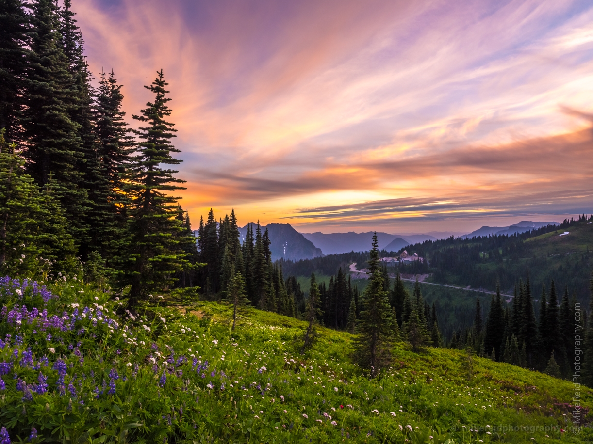 Mount Rainier Photography Meadows to Paradise at Sunset.jpg 