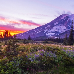 Mount Rainier Photography Fiery Sunrise Panorama.jpg