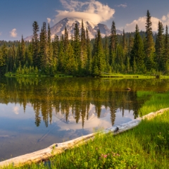 Mount Rainier Photography Reflection Lakes Log.jpg