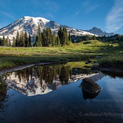 Calm Mount Rainier Reflection To order a print please email me at  Mike Reid Photography : rainier, mount rainier, rainier national park, washington state, northwest photography, northwest images, wildflowers, mountain, volcano, lake tipsoo, reflection lakes, sunset, sunrise, lupine