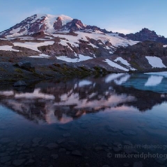 Clear Glacial Tarn Reflection To order a print please email me at  Mike Reid Photography : rainier, mount rainier, rainier national park, washington state, northwest photography, northwest images, wildflowers, mountain, volcano, lake tipsoo, reflection lakes, sunset, sunrise, lupine