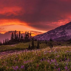 Mount Rainier Fiery Mountain Sunset Pano To order a print please email me at  Mike Reid Photography