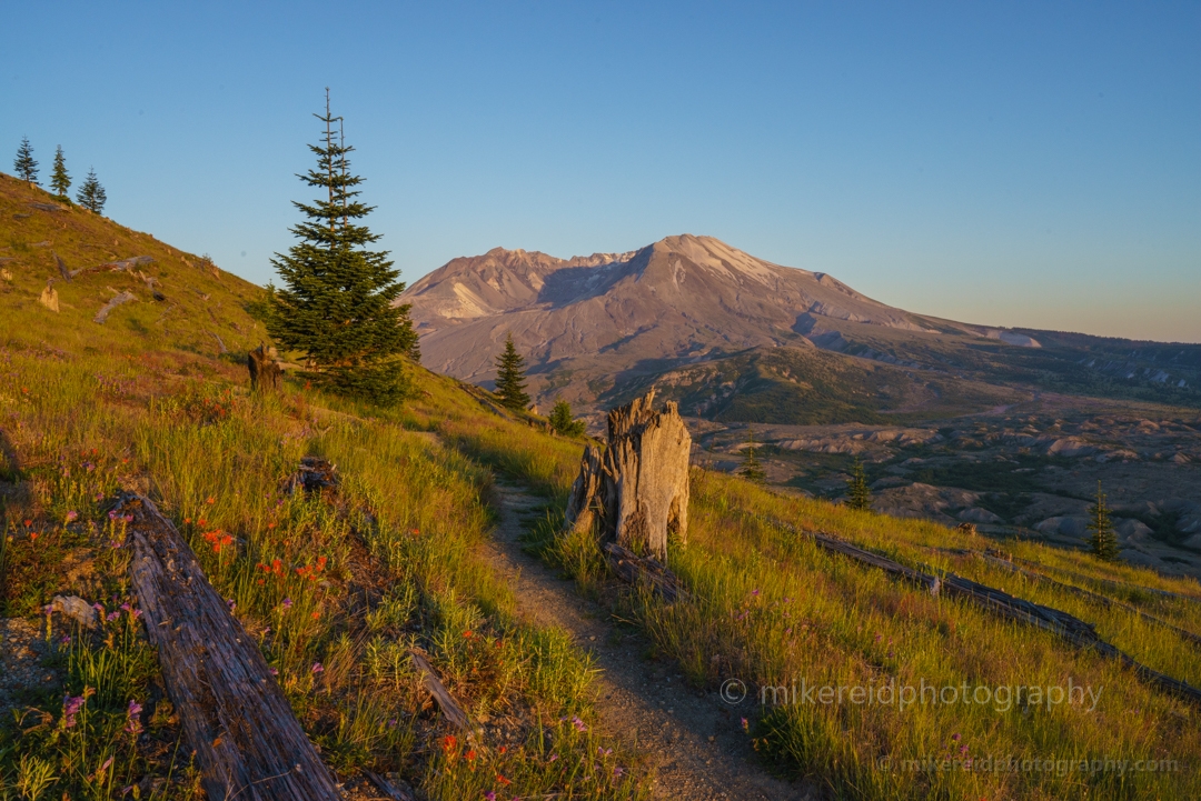 Boundary Trail St Helens Dusk Light 