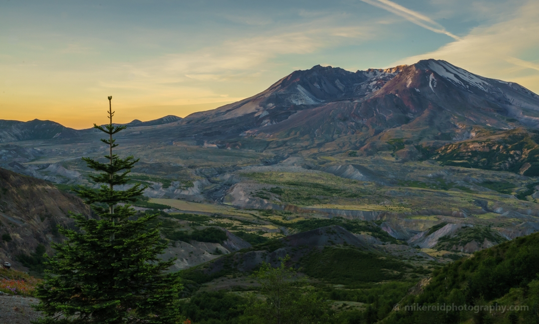 Mount St Helens Forest Returns 