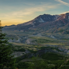 Mount St Helens Forest Returns To order a print please email me at  Mike Reid Photography