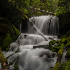 Faerie Falls Mid Wide To order a print please email me at  Mike Reid Photography : Falls, waterfalls, oregon waterfalls, washington waterfalls, northwest waterfalls, stream, horsetail, multnomah, lewis, landscape, palouse, waterfall stream, moss, ferns, rainier waterfalls