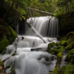 Faerie Falls Pano To order a print please email me at  Mike Reid Photography : Falls, waterfalls, oregon waterfalls, washington waterfalls, northwest waterfalls, stream, horsetail, multnomah, lewis, landscape, palouse, waterfall stream, moss, ferns, rainier waterfalls
