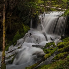 Faerie Falls Wide To order a print please email me at  Mike Reid Photography : Falls, waterfalls, oregon waterfalls, washington waterfalls, northwest waterfalls, stream, horsetail, multnomah, lewis, landscape, palouse, waterfall stream, moss, ferns, rainier waterfalls