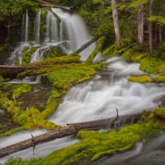 Lush Moss Water Flow To order a print please email me at  Mike Reid Photography : Falls, waterfalls, oregon waterfalls, washington waterfalls, northwest waterfalls, stream, horsetail, multnomah, lewis, landscape, palouse, waterfall stream, moss, ferns, rainier waterfalls