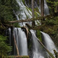 Panther Creek Falls Long View To order a print please email me at  Mike Reid Photography : Falls, waterfalls, oregon waterfalls, washington waterfalls, northwest waterfalls, stream, horsetail, multnomah, lewis, landscape, palouse, waterfall stream, moss, ferns, rainier waterfalls