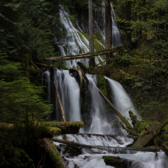 Panther Creek Falls Longer View To order a print please email me at  Mike Reid Photography : Falls, waterfalls, oregon waterfalls, washington waterfalls, northwest waterfalls, stream, horsetail, multnomah, lewis, landscape, palouse, waterfall stream, moss, ferns, rainier waterfalls