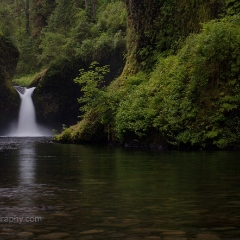 Punchbowl Falls To order a print please email me at  Mike Reid Photography : Falls, waterfalls, oregon waterfalls, washington waterfalls, northwest waterfalls, stream, horsetail, multnomah, lewis, landscape, palouse, waterfall stream, moss, ferns, rainier waterfalls