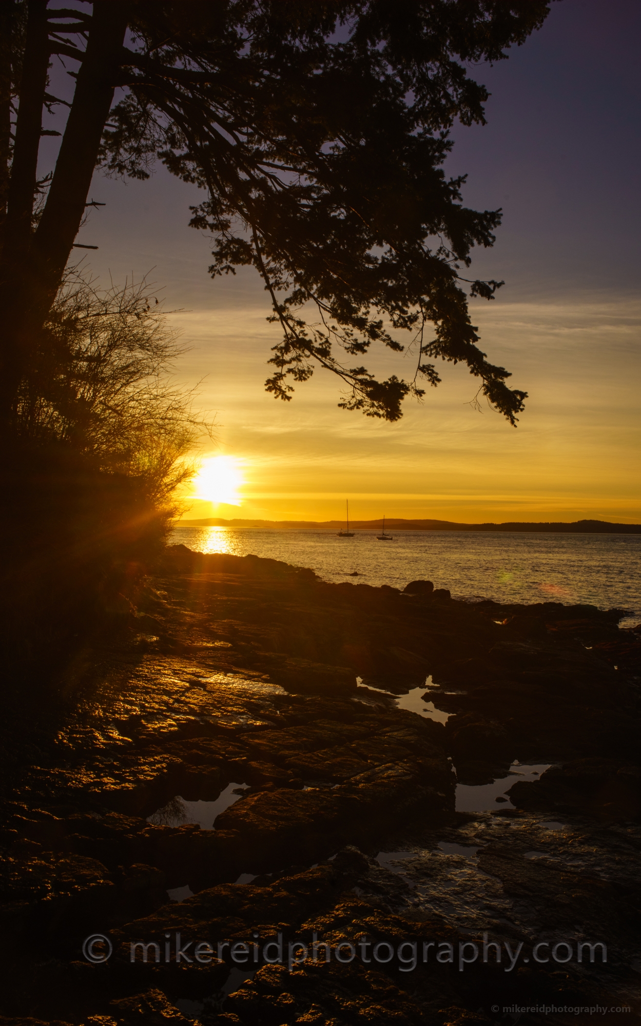 Anacortes Washington Park Low Tides Sunset 