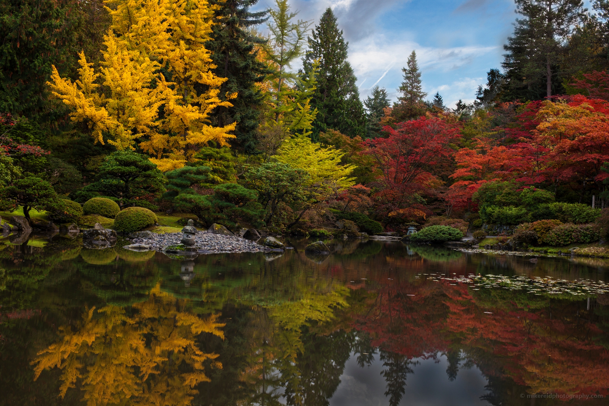 Autumn Angles 