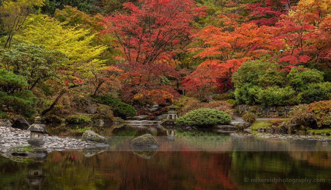 Fall Leaves Reflection 