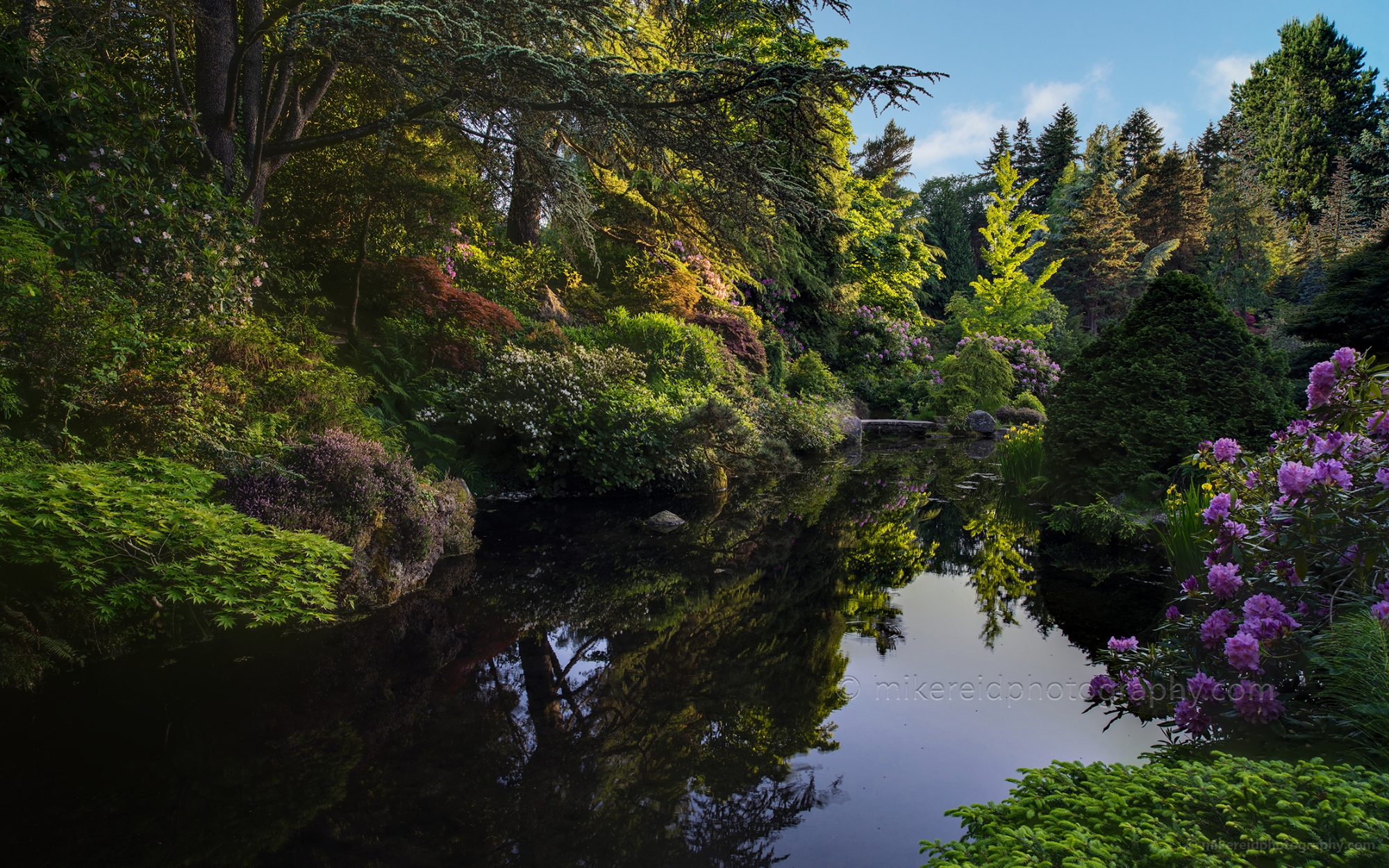 Kubota Evening Garden Pond 