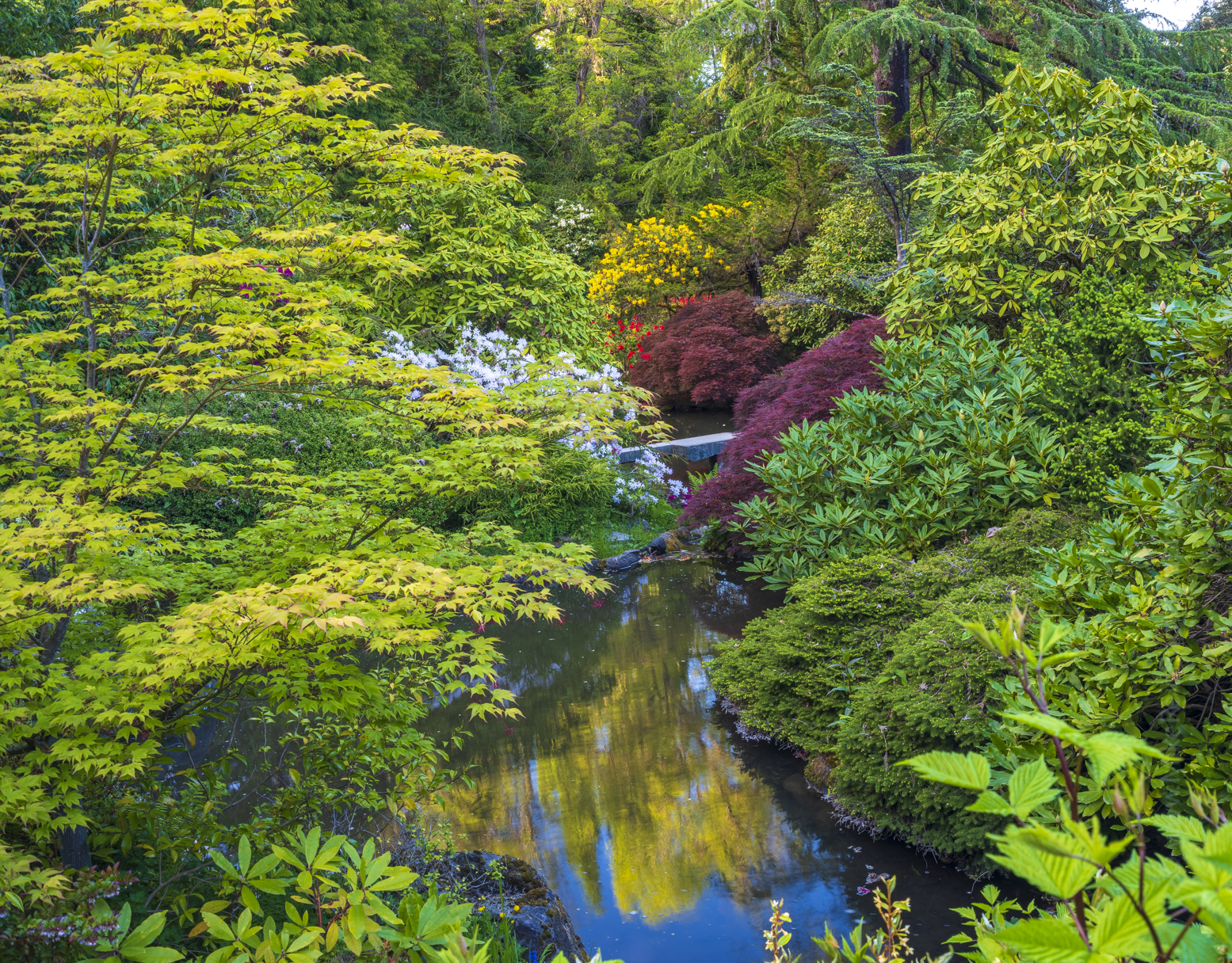 Kubota Gardens into the Lush 