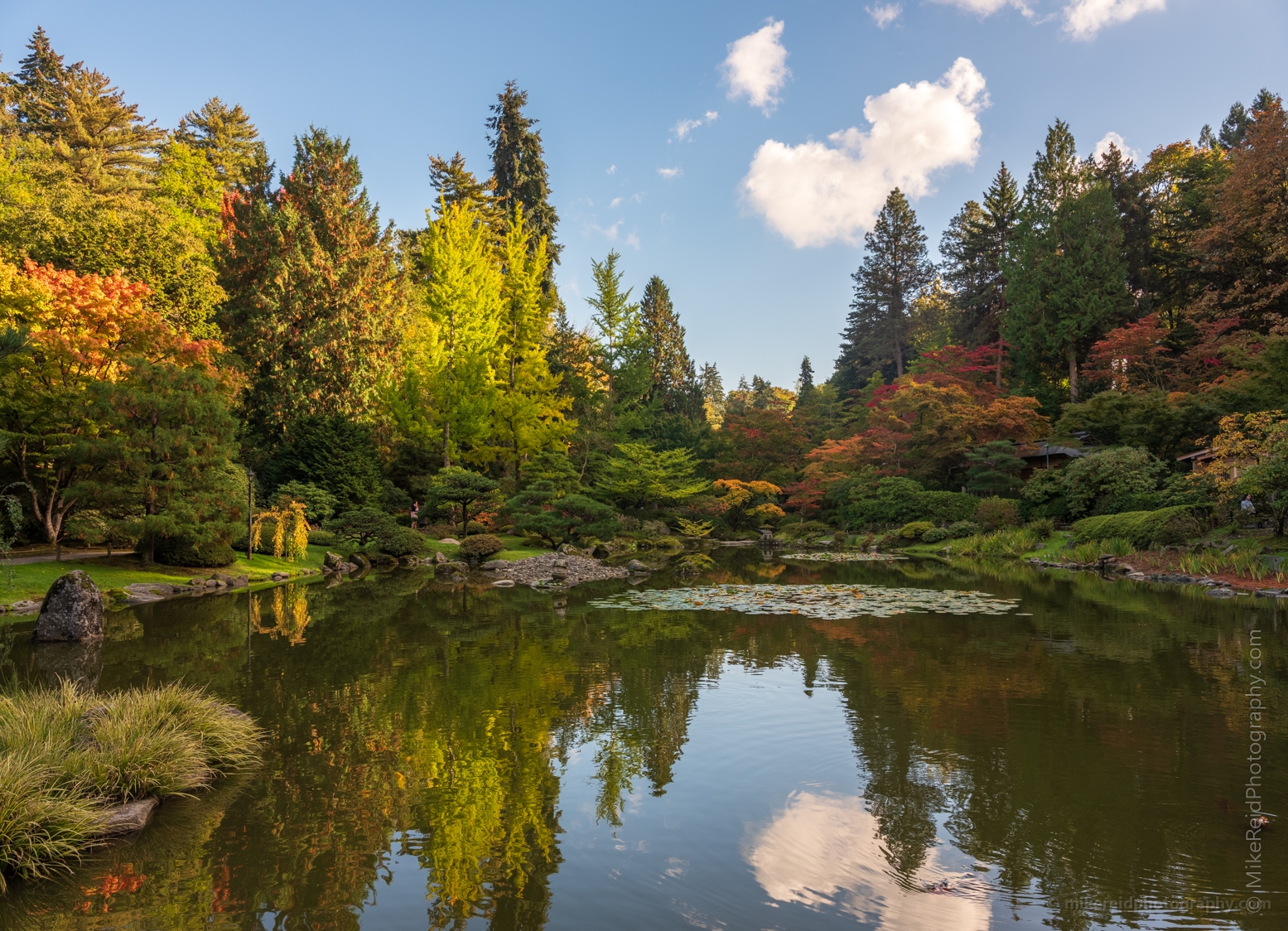 Seattle Japanese Garden Clouds Reflection 