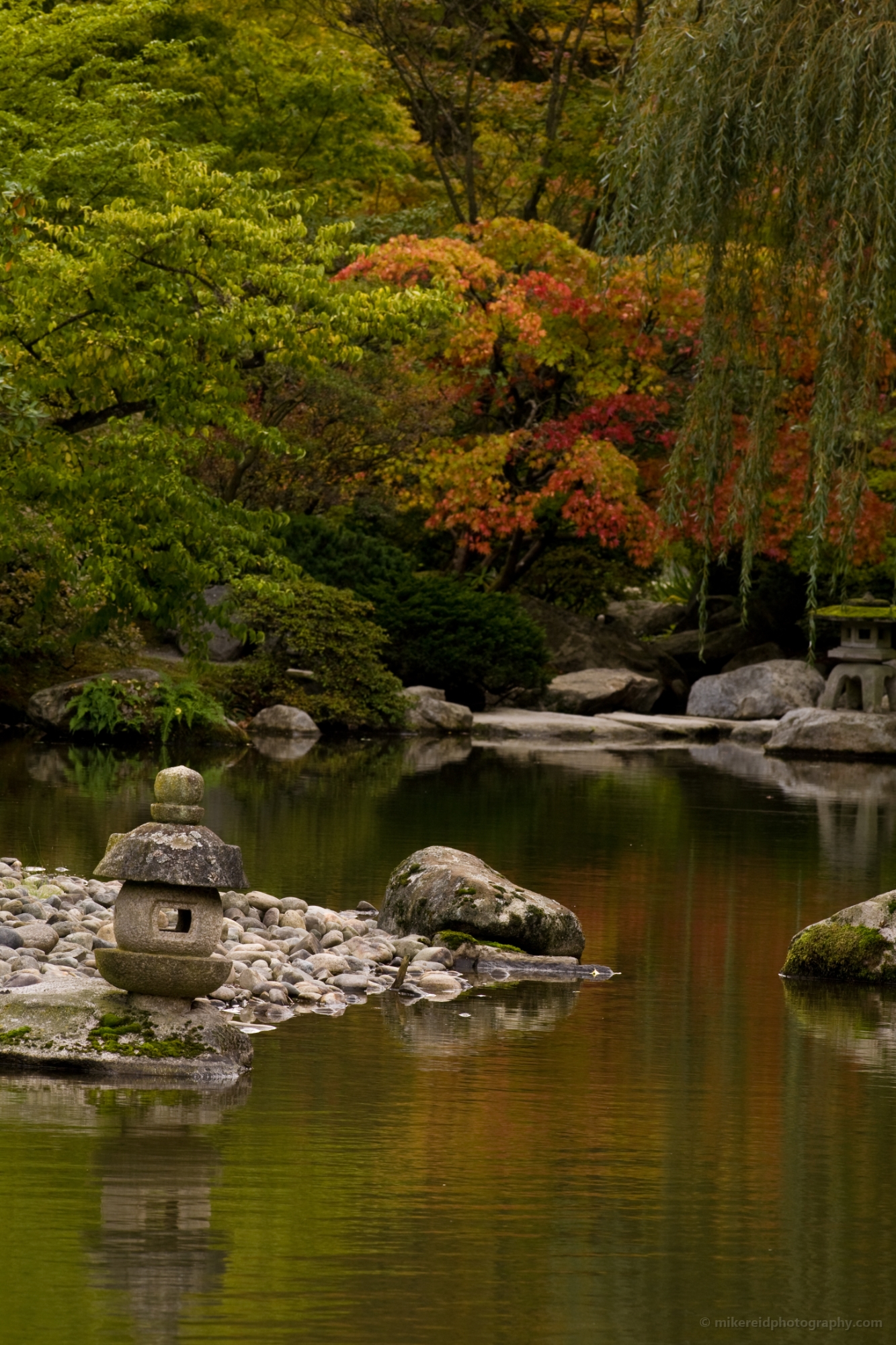 Serene Water Scene 