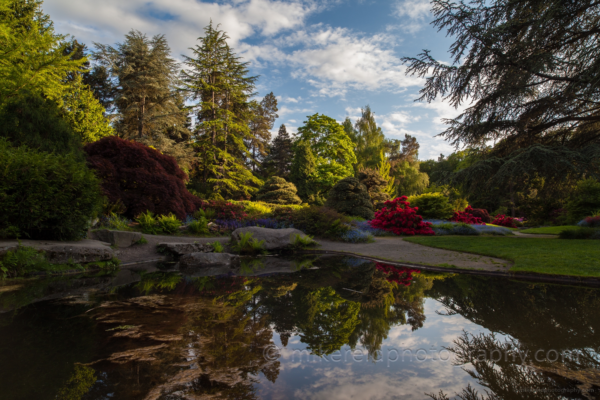 Spring Kubota Gardens Seattle 