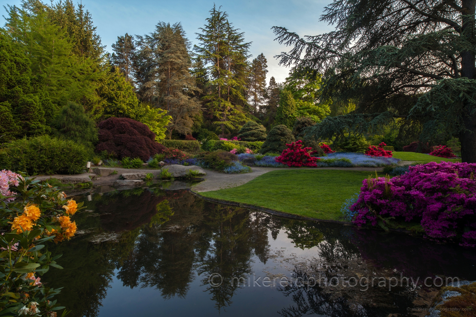 Spring Kubota Gardens Vision 