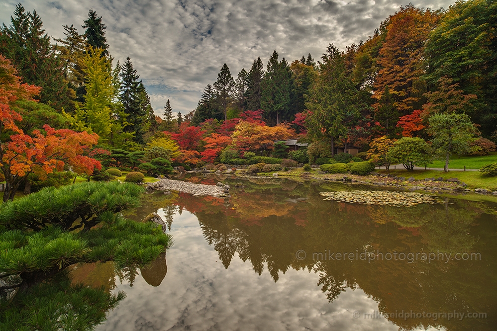 Vivid Fall Colors 