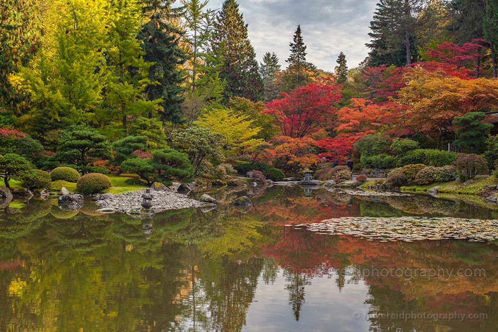 Wide Autumn Palette 