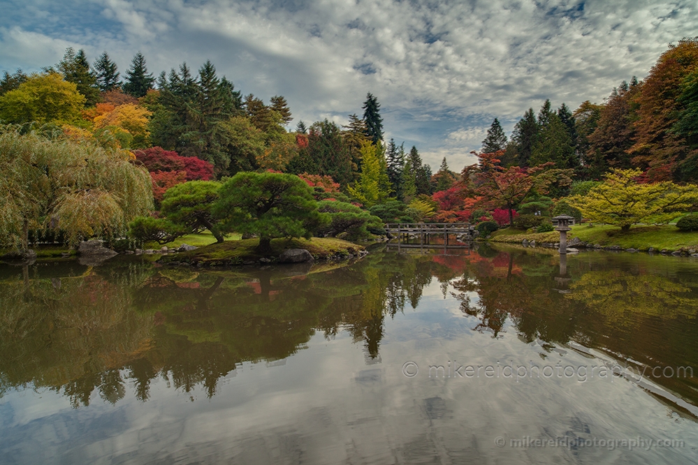 Wide Autumn Pond 