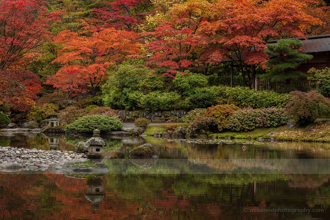 Autumn Japanese Garden Reflection