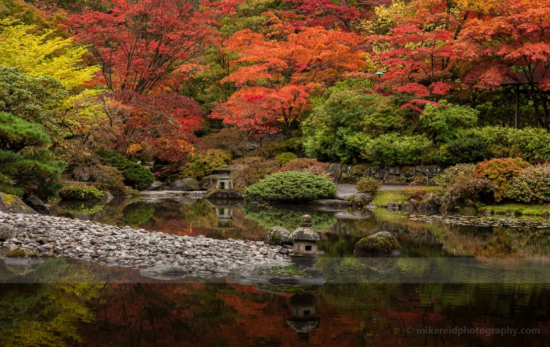 Japanese Garden Pond Reflection