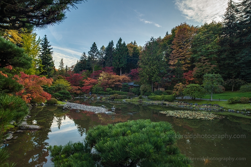 Japanse Garden Vista