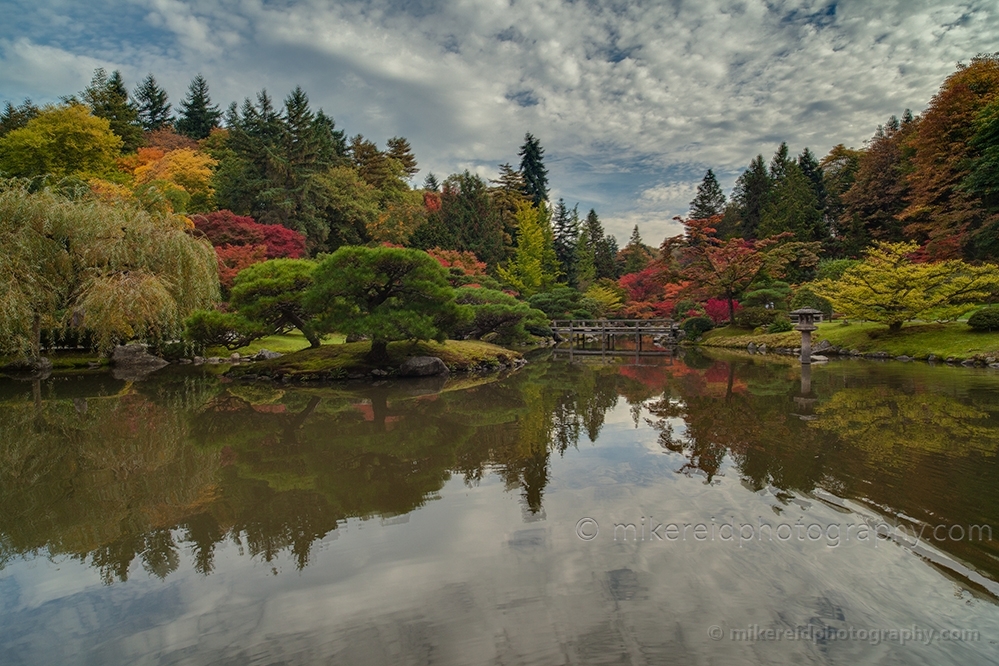 Wide Autumn Pond