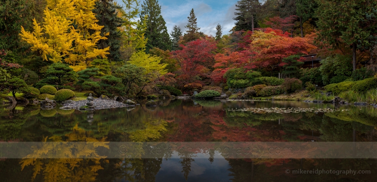 Wide Japanese Garden Fall Colors Panorama
