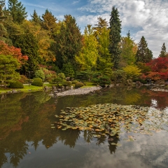 Fall Colors around the Water.jpg