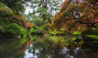 Seattle Kubota Gardens Symmetry