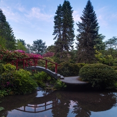 Spring Kubota Gardens Red Bridge.jpg