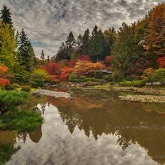 Vivid Fall Colors.jpg