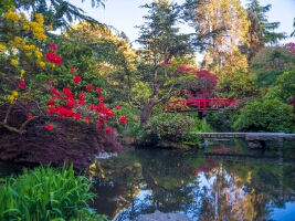 Kubota Gardens Spring Colors