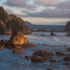 Cannon Beach Photography Sea Stacks and Birds