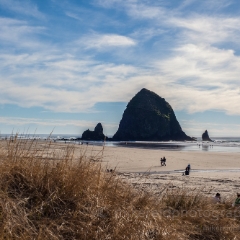 Cannon Beach Scene To order a print please email me at  Mike Reid Photography : cannon beach, haystack rock, oregon coast, landscape photography, sunset photography, sunrise photography