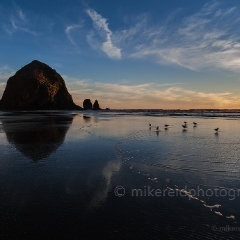 Haystack Rock Sunset Gathering To order a print please email me at  Mike Reid Photography : cannon beach, haystack rock, oregon coast, landscape photography, sunset photography, sunrise photography