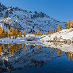 Alpine Lakes Reflection Fall Colors To order a print please email me at  Mike Reid Photography : aasgard pass, enchantments, leavenworth, enchantments lakes basin, prusik, colchuck, snow lakes, northwest, images, leprechaun lake, larches