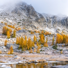 Enchantments FAll Colors Reflection To order a print please email me at  Mike Reid Photography : aasgard pass, enchantments, leavenworth, enchantments lakes basin, prusik, colchuck, snow lakes, northwest, images, leprechaun lake, larches