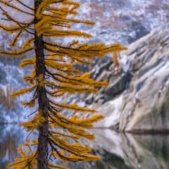 Enchantments Fall Colors Beauty in the Seasons Passing To order a print please email me at  Mike Reid Photography : aasgard pass, enchantments, leavenworth, enchantments lakes basin, prusik, colchuck, snow lakes, northwest, images, leprechaun lake, larches, fall colors, autumn, golden larches, landscape photography, northwest photography, reflection photography, sony mirrorless photography