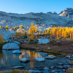 Enchantments Photography Larch Tarns To order a print please email me at  Mike Reid Photography : aasgard pass, enchantments, leavenworth, enchantments lakes basin, prusik, colchuck, snow lakes, northwest, images, leprechaun lake, larches, gfx50s, fujifilm, hiking photography, landscape photography
