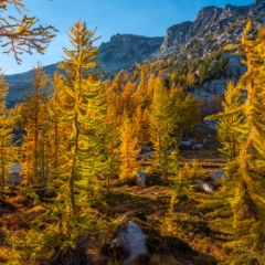 Enchantments Photography Seasons Turning Colors To order a print please email me at  Mike Reid Photography : aasgard pass, enchantments, leavenworth, enchantments lakes basin, prusik, colchuck, snow lakes, northwest, images, leprechaun lake, larches, gfx50s, fujifilm, hiking photography, landscape photography